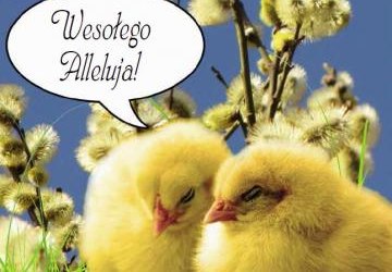 Przegląd Nawojowski Nr 16